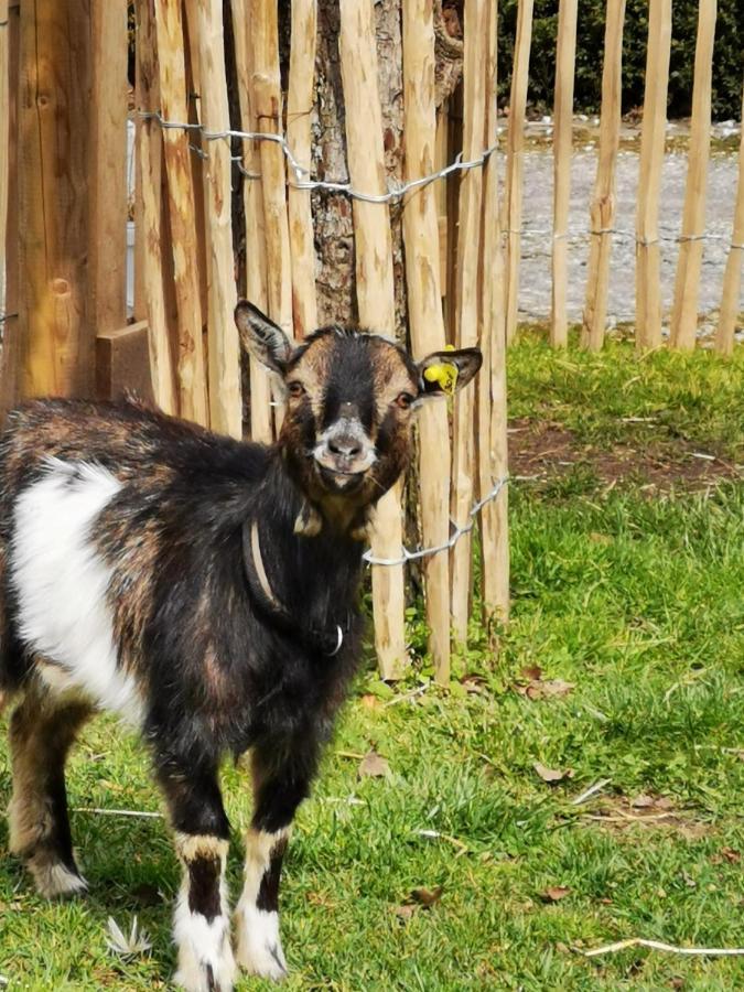 Heeser Hof - Urlaub Im Gruenen Weeze Bagian luar foto