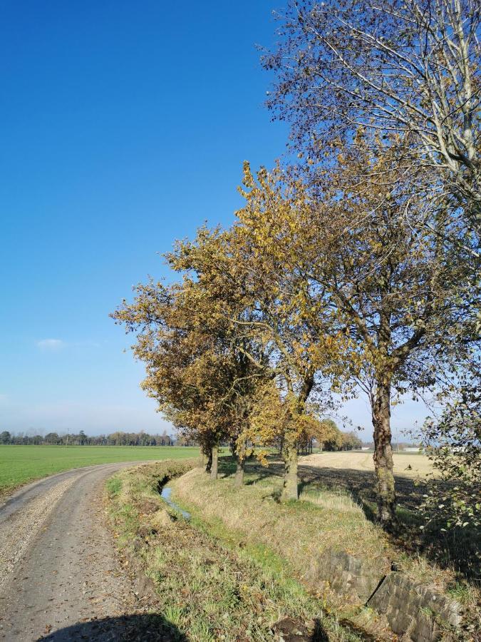 Heeser Hof - Urlaub Im Gruenen Weeze Bagian luar foto